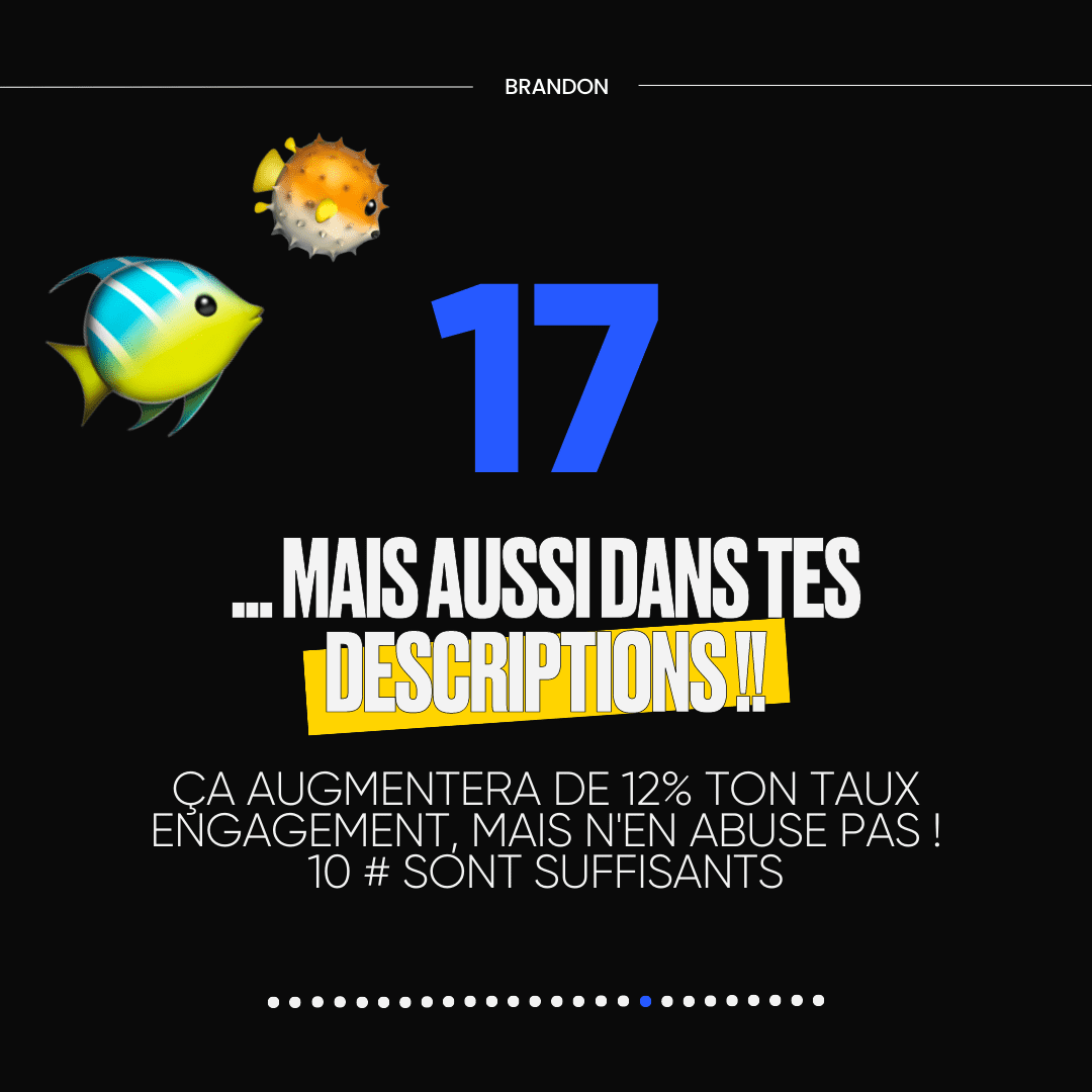 17. ...MAIS AUSSI DANS TES DESCRIPTIONS !