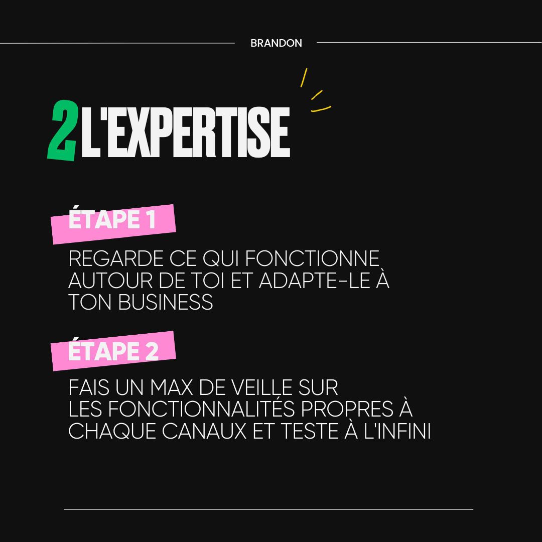 2. L'expertise