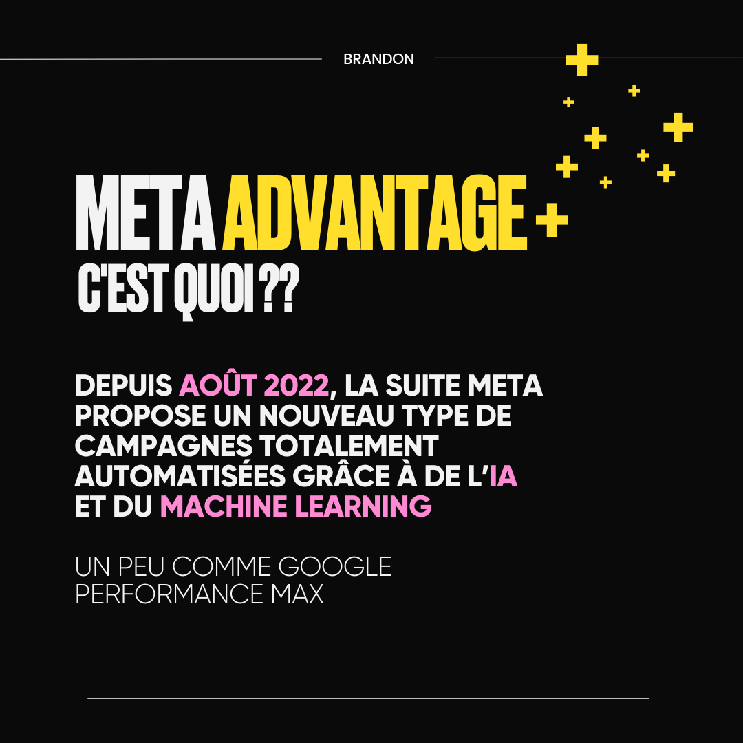 META ADVANTAGE + c'est quoi ??